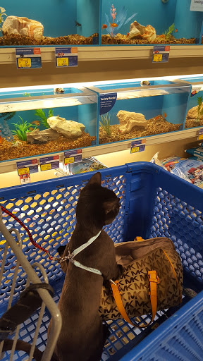 Pet Supply Store «PetSmart», reviews and photos, 291 Skokie Blvd, Northbrook, IL 60062, USA