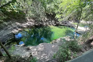 Lafayette Blue Springs State Park image