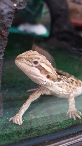 Pet Supply Store «Petco Animal Supplies», reviews and photos, 2575 Fairview Ave N, Roseville, MN 55113, USA