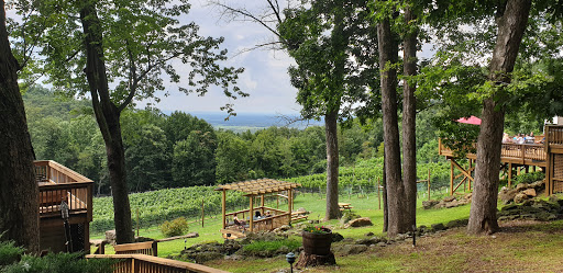 Winery «Twin Oaks Tavern Winery», reviews and photos, 18035 Raven Rocks Rd, Bluemont, VA 20135, USA