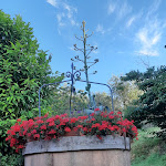 Photo n°1 de l'avis de mauro.e fait le 04/07/2021 à 15:29 sur le  Ristorante Osteria Del Vecchio Olivo à Montecarlo