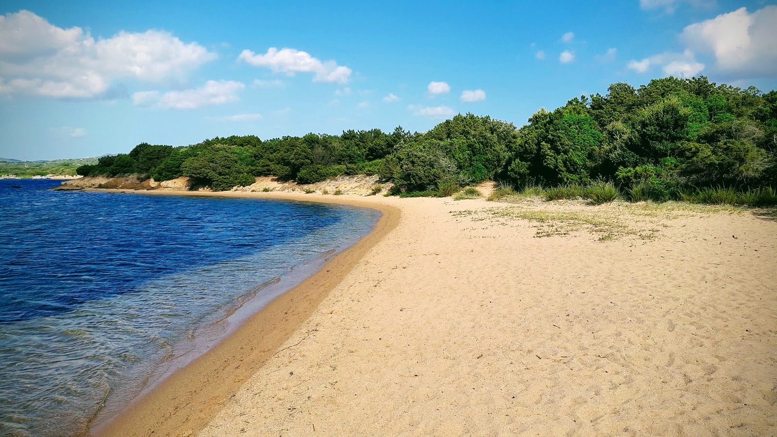 Photo de Figari beach avec sable fin et lumineux de surface