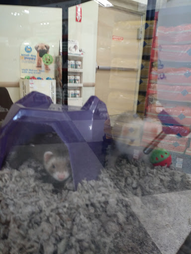 Pet Supply Store «Petco Animal Supplies», reviews and photos, 2784 W Peoria Ave, Phoenix, AZ 85029, USA