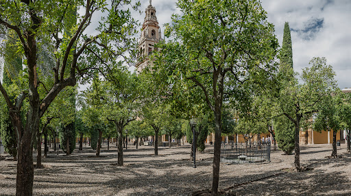 Patio de los Naranjos