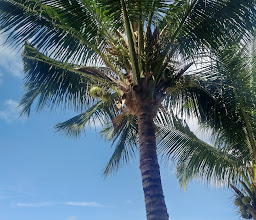 Samui Harmony photo