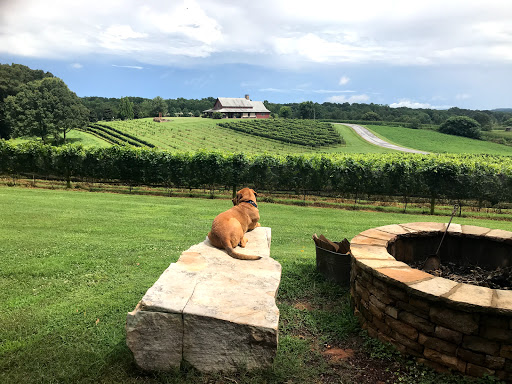Winery «CeNita Vineyards, Winery & Tasting Room», reviews and photos, 591 Dock Dorsey Rd, Cleveland, GA 30528, USA