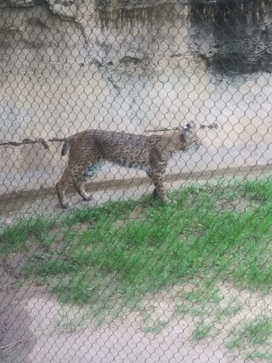 Museum «Dr Pepper Museum & Free Enterprise Institute», reviews and photos, 300 S 5th St, Waco, TX 76701, USA