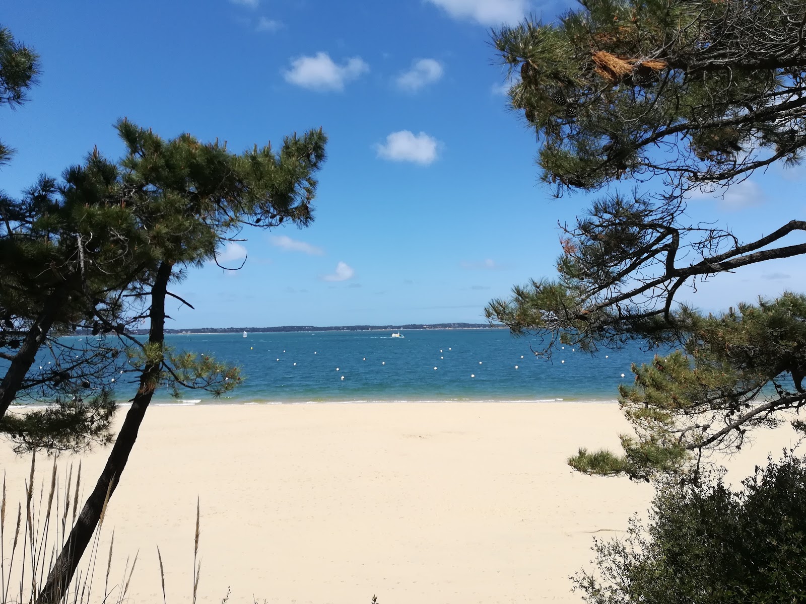 Foto di Spiaggia di Pereire con una superficie del sabbia bianca fine