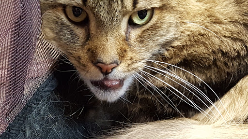 4955 Perkiomen Ave, Reading, PA 19606, USA