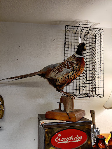 Antique Store «Black Diamond Antiques», reviews and photos, 32709 Railroad Ave, Black Diamond, WA 98010, USA