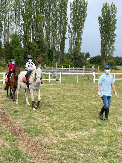 Club Hipoterapia y Equitacion Chiloe