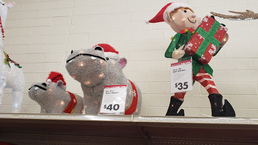 Discount Store «Big Lots», reviews and photos, 10603 E Apache Trail, Apache Junction, AZ 85120, USA