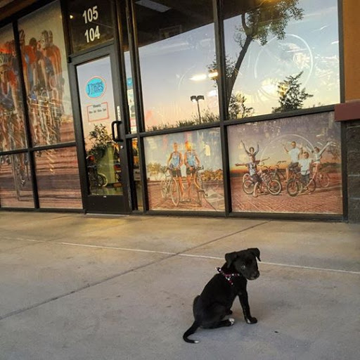 Bicycle Repair Shop «Two Wheel Jones Bicycles - Mesa», reviews and photos, 2837 N Power Rd #110, Mesa, AZ 85215, USA