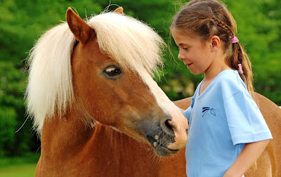 Poney Club d'Ezanville à Ézanville