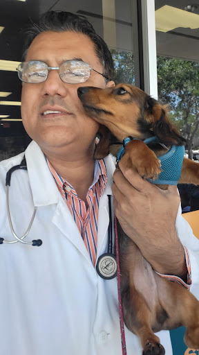 Mobile Pet Hospital image