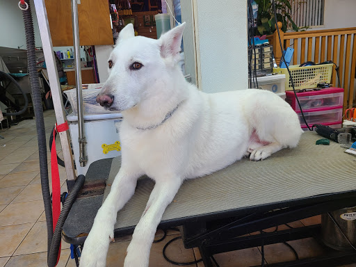 Pet Store «Rainbow Pet Supplies», reviews and photos, 3940 58th St, Woodside, NY 11377, USA