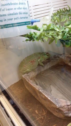 Pet Supply Store «Pet Supplies Plus», reviews and photos, 1937 FL-60, Valrico, FL 33594, USA