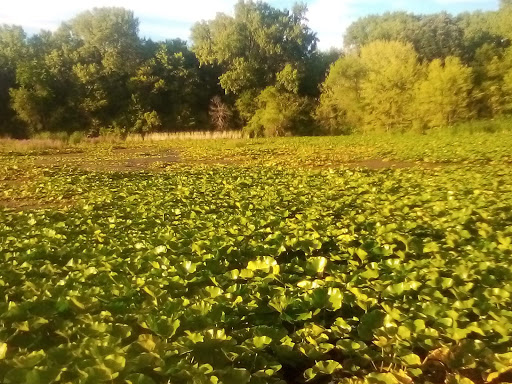Nature Preserve «Maplewood Nature Center», reviews and photos, 2659 E 7th St, St Paul, MN 55119, USA