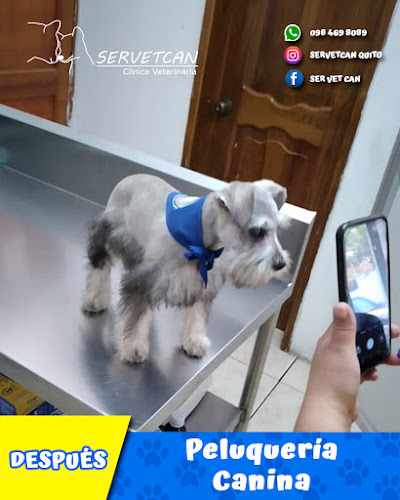 Comentarios y opiniones de Clínica Veterinaria SERVETCAN; Peluquería Canina, Cesáreas, Esterilizaciones, Vacunas. Pusuquí - Quito