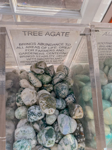 Book Store «Pyramid Books», reviews and photos, 214 Derby St, Salem, MA 01970, USA