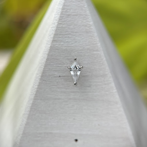 Explore heart transplant tattoo ideas, creative tattoo ideas in Olympia, available at Metro Body Piercing