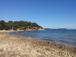 Argentiere beach'in fotoğrafı geniş ile birlikte