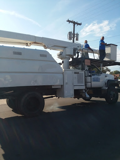 Discount Store «Dollar General», reviews and photos, 123 S West St, Tipton, IN 46072, USA