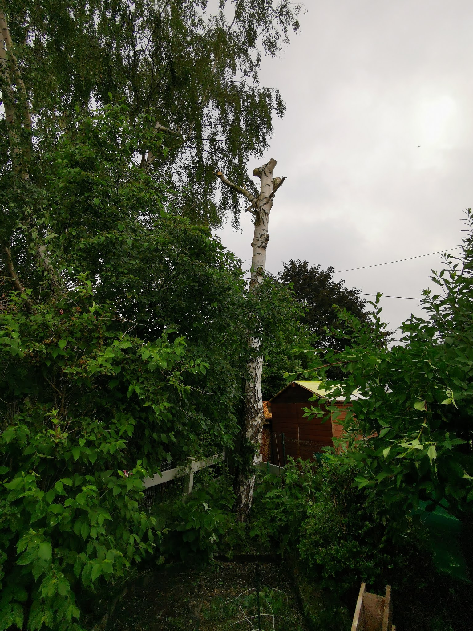 Photo n° 1 de l'avis de Thierry.a fait le 18/06/2021 à 09:50