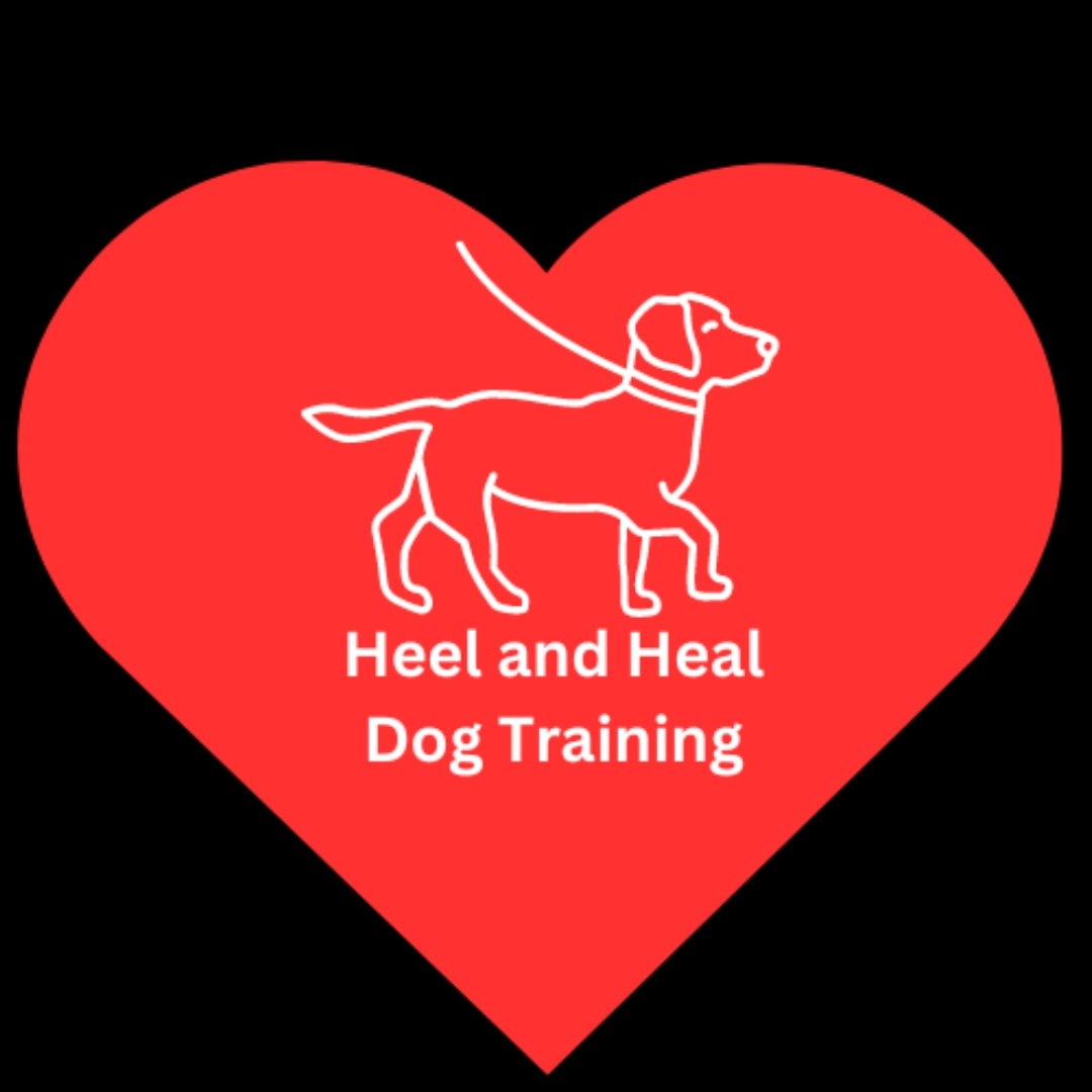 Heel and Heal Dog Training