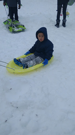 Park «North Lynnwood Park», reviews and photos, 18510 44th Ave W, Lynnwood, WA 98037, USA