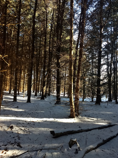 Nature Preserve «Wolf Creek Environmental Center», reviews and photos, 6100 Ridge Rd, Wadsworth, OH 44281, USA