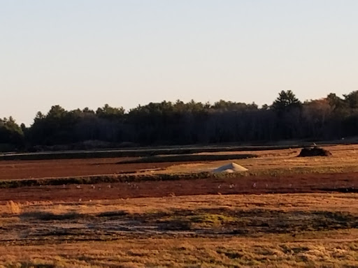 State Park «Myles Standish State Forest», reviews and photos, 194 Cranberry Rd, Carver, MA 02330, USA