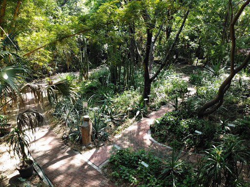 Jardín Botánico Faustino Miranda