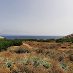 Photo n°1 de l'avis de Rune.e fait le 10/07/2023 à 12:15 sur le  Paninoteca Groove on the Rocks à Santa Teresa Gallura