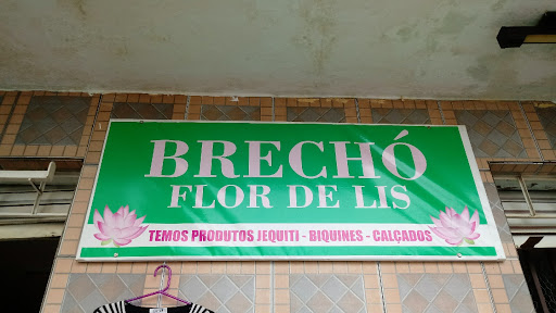 Logo da empresa - Brechó flor de Lis