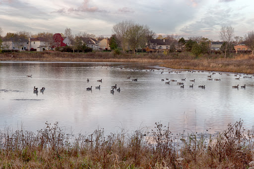 Park «Springfield Park», reviews and photos, 269 Springfield Dr, Bloomingdale, IL 60108, USA