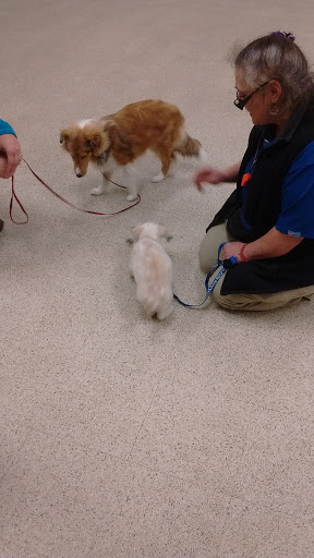 Pet Supply Store «PetSmart», reviews and photos, 128 Bailey Farm Rd, Monroe, NY 10950, USA