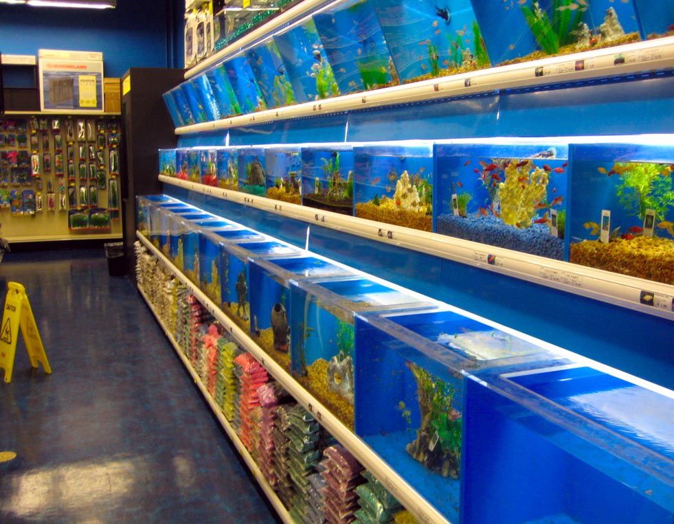Hobbyland Fish Aquarium