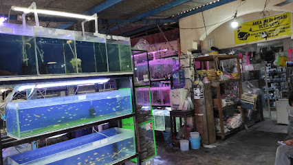 toko ikan kurnia