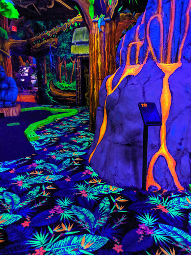 Laser Tag Center «Zap Zone Glo-Golf», reviews and photos, 41953 Ford Rd, Canton, MI 48187, USA