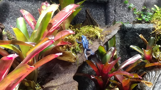 Aquarium «Loveland Living Planet Aquarium», reviews and photos, 12033 Lone Peak Pkwy, Draper, UT 84020, USA