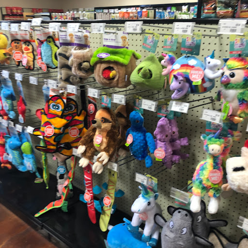 Pet Store «Choice Pet Market», reviews and photos, 2915 W Ray Rd, Chandler, AZ 85224, USA