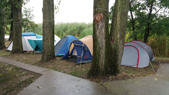 Opinii despre Szt.Márton Ifjúsági és Vizisport Közhasznú Egyesület în Szigetszentmárton - Szórakozóhely