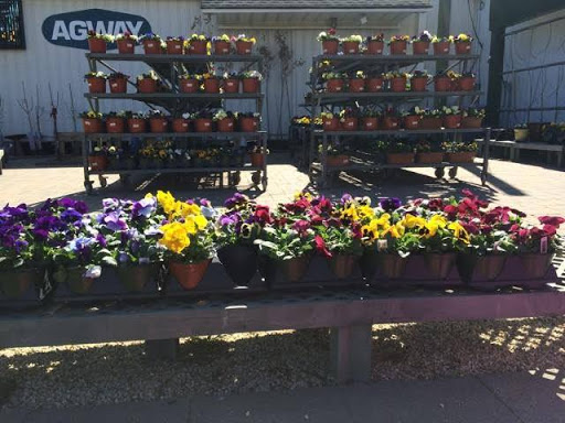 Garden Center «Animals and Gardens Unlimited», reviews and photos, 14 Jacobstown Rd, New Egypt, NJ 08533, USA