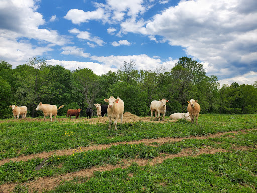 Ranch «The Marriott Ranch Bed and Breakfast», reviews and photos, 5305 Marriott Ln, Hume, VA 22639, USA