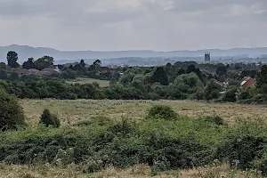 Ronkswood Hill Meadows Local Nature Reserve image
