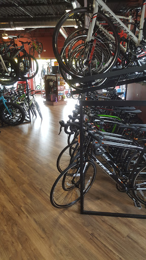 Bicycle Store «Village CycleSport», reviews and photos, 234 W Northwest Hwy, Barrington, IL 60010, USA