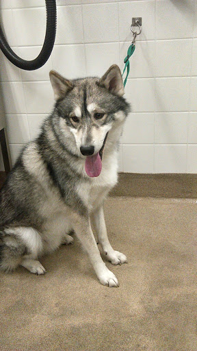 Pet Supply Store «Petco Animal Supplies», reviews and photos, 597 Hebron Rd #2, Heath, OH 43056, USA