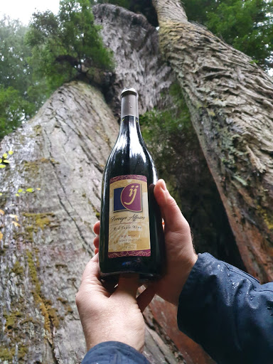 Winery «Van Wijk Winery», reviews and photos, 802 4th St, Sully, IA 50251, USA