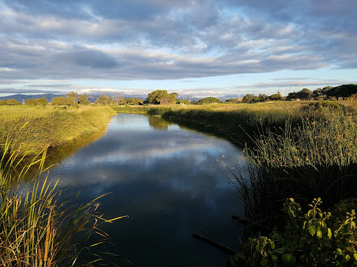 Event Venue «Shoreline Amphitheatre», reviews and photos, 1 Amphitheatre Pkwy, Mountain View, CA 94043, USA